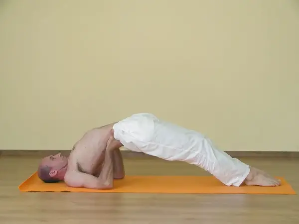 Setu Bandhasana B