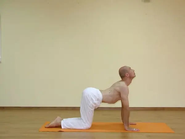 Marjaryasana B