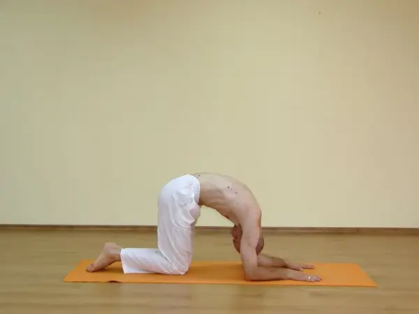 Marjaryasana C