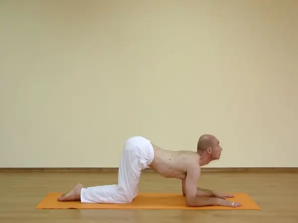 Marjaryasana D