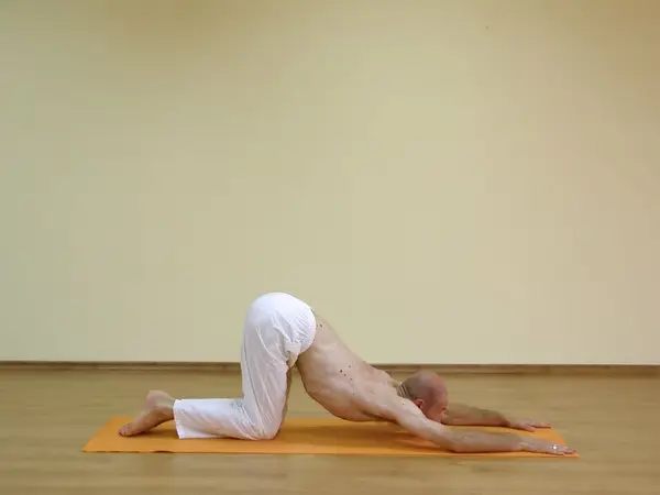 Marjaryasana E