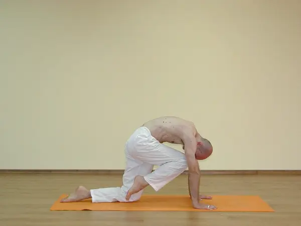 Vyaghrasana A