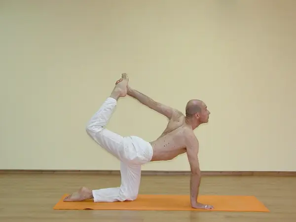 Vyaghrasana C