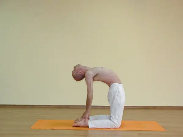 Ushtrasana