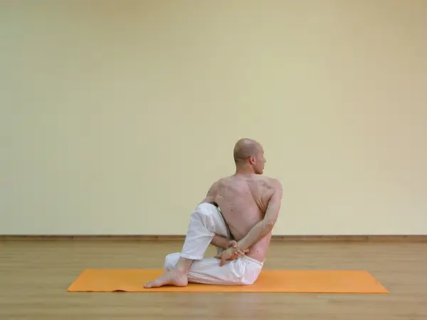 Ardha Matsyendrasana B