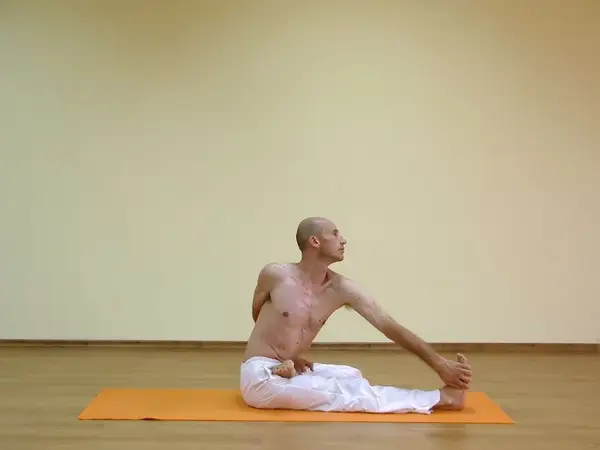 Ardha Matsyendrasana C