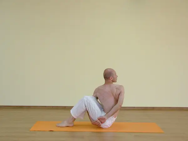 Pashasana B