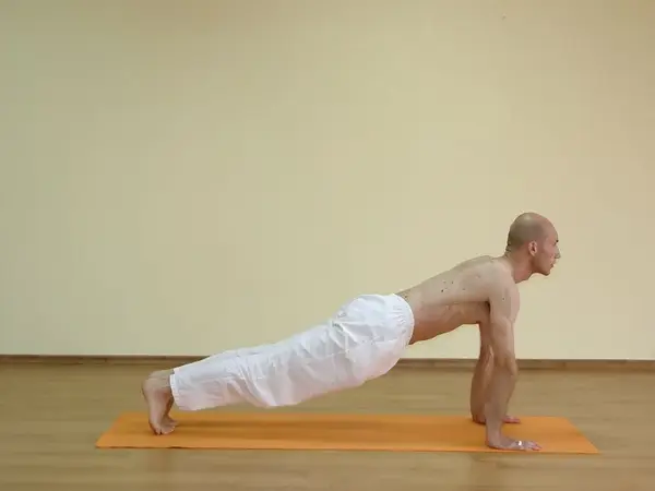 Urdhva Chaturanga Dandasana