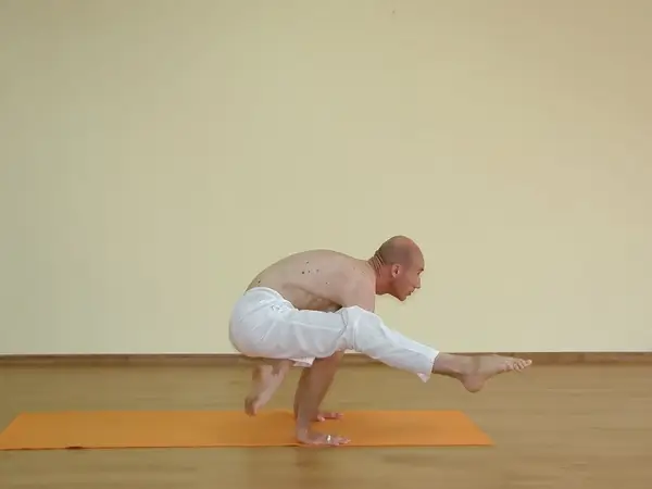 Eka Pada Bakasana B