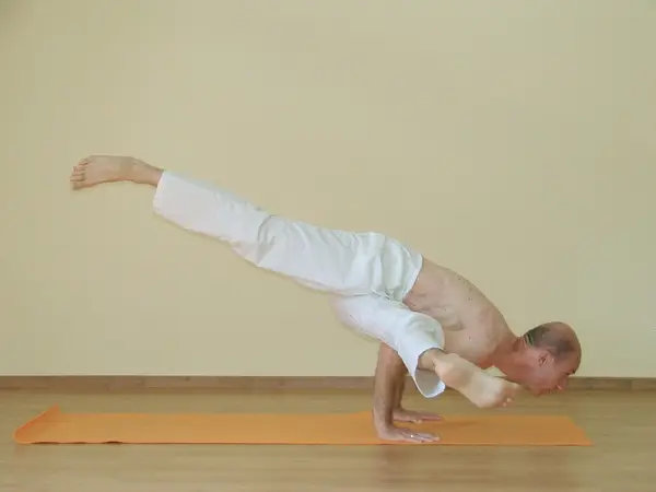 Koundinyasana A