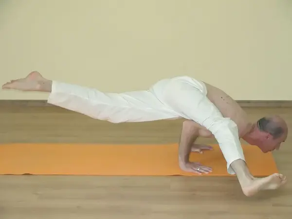 Koundinyasana B