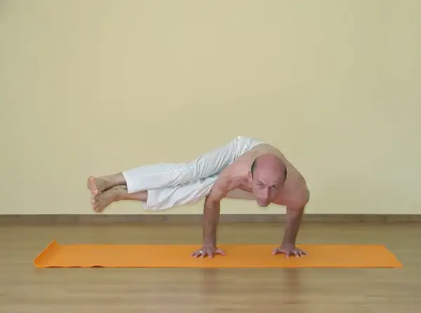 Dwi Pada Koundinyasana