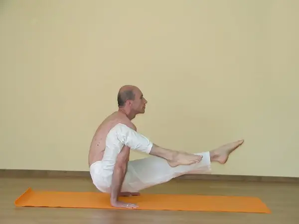 Eka Hasta Bhujasana