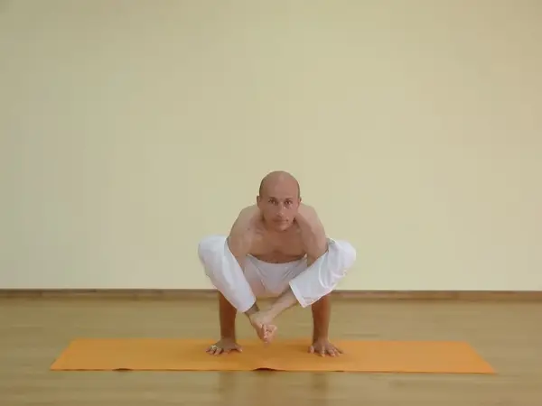 Bhujapidasana