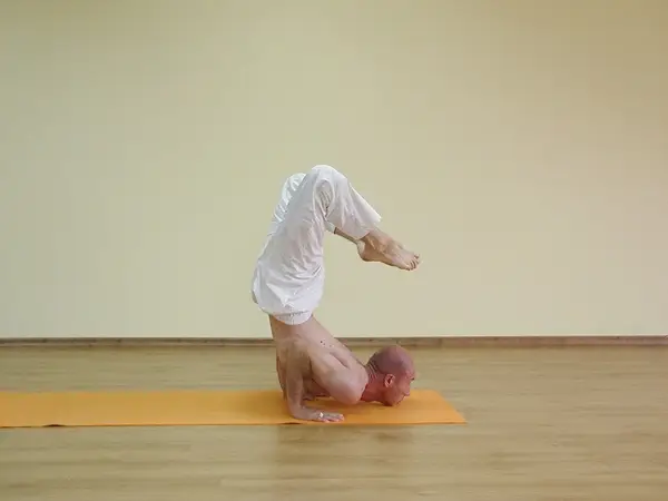 Ardha Ganda Bherundasana