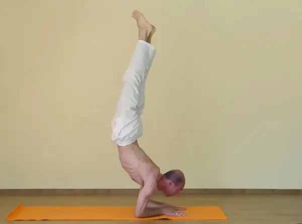 Pincha Mayurasana