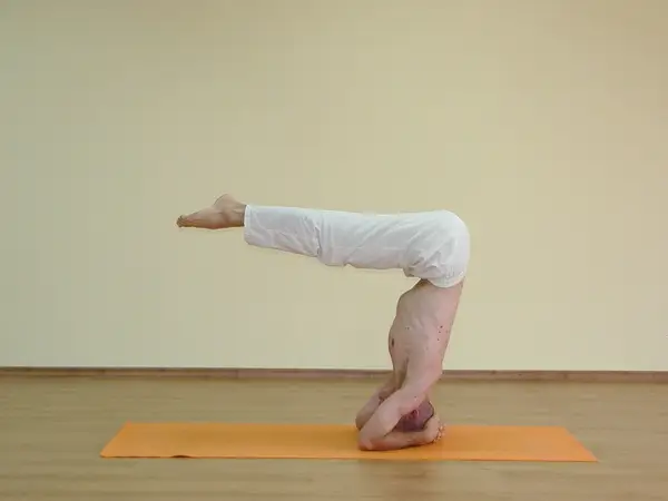 Ardha Salamba Shirshasana_ Urdhva Dandasana B