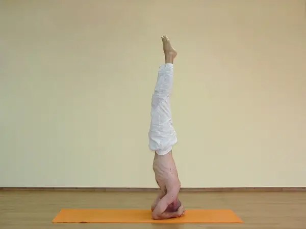 Salamba Shirshasana A