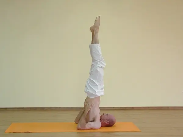 Salamba Sarvangasana A