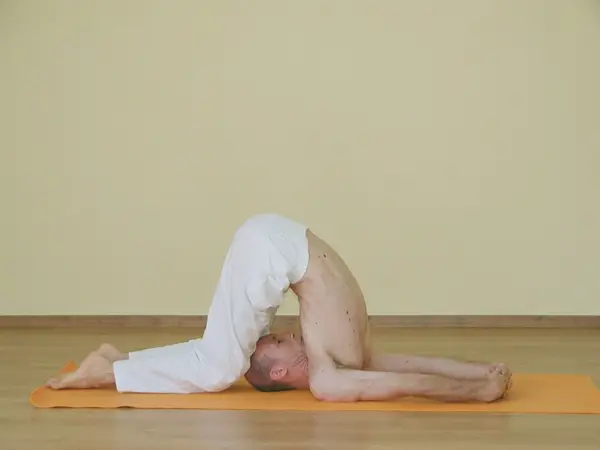 Halasana Janu Shirsha