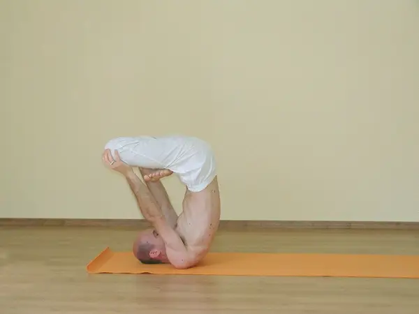 Urdhva Padmasana
