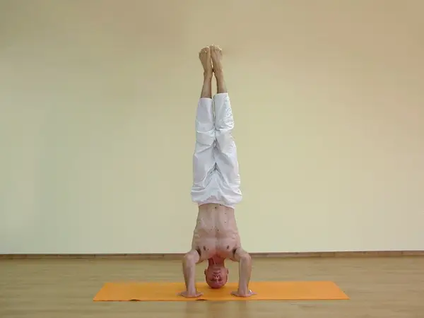 Mukta Hasta Shirshasana A