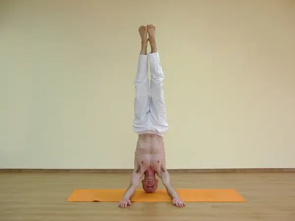 Mukta Hasta Shirshasana B