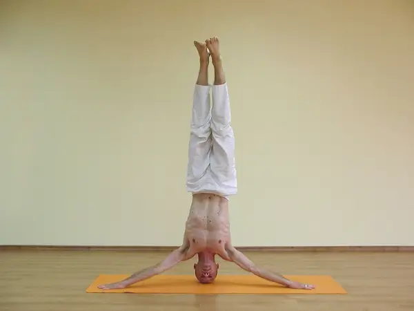Mukta Hasta Shirshasana C