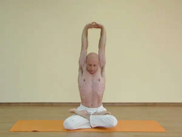 Parvatasana