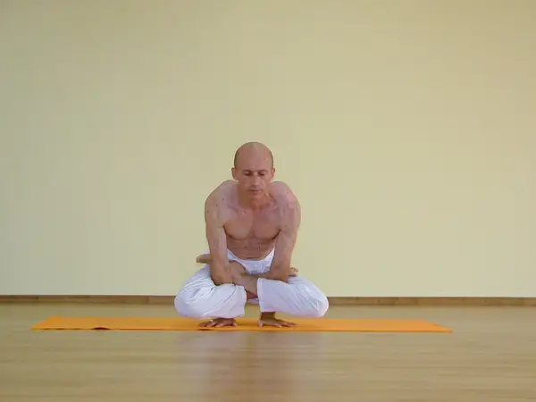 Kukkutasana
