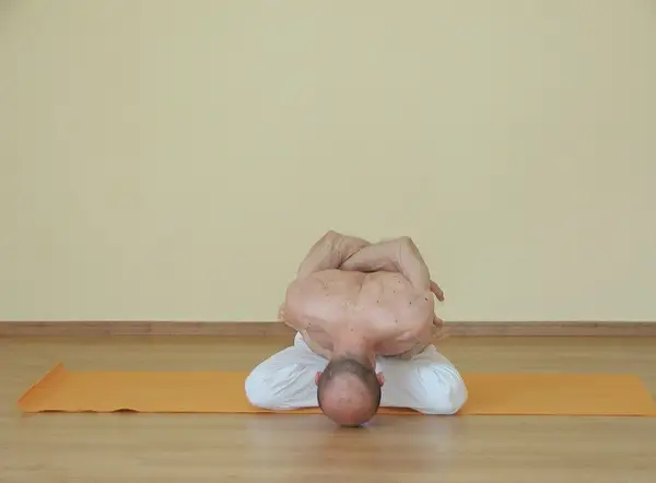 Yoga Mudra