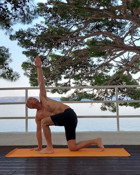 4. Ardha Parivritta Ashva Sanchalanasana (izdah)