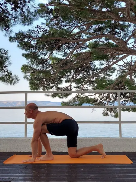 5. Ardha Ashva Sanchalanasana (udah)