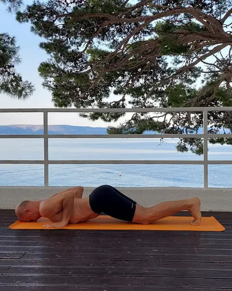 7. Ashtanga Namaskara (izdah)