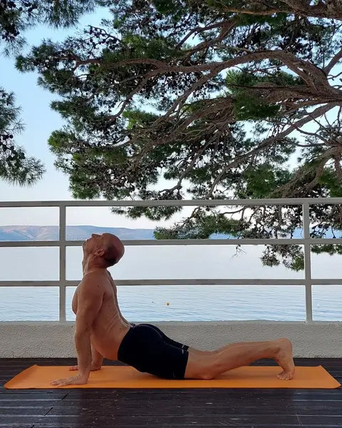 8. Urdhva Mukha Shvanasana (udah)