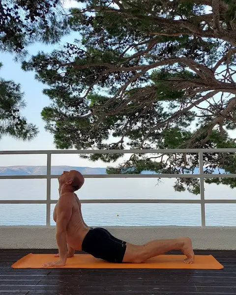 10. Urdhva Mukha Shvanasana (udah)