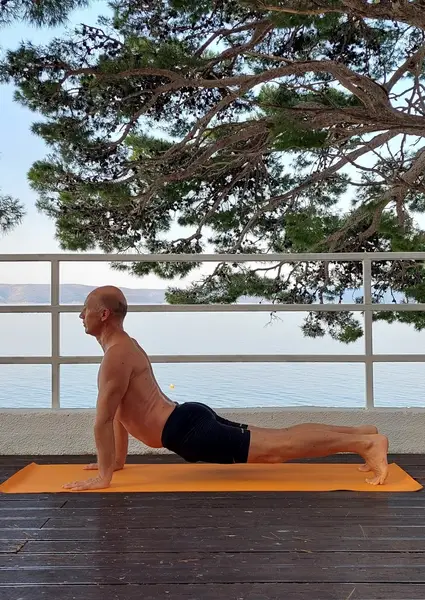 6. Urdhva Mukha Shvanasana 2 (udah)