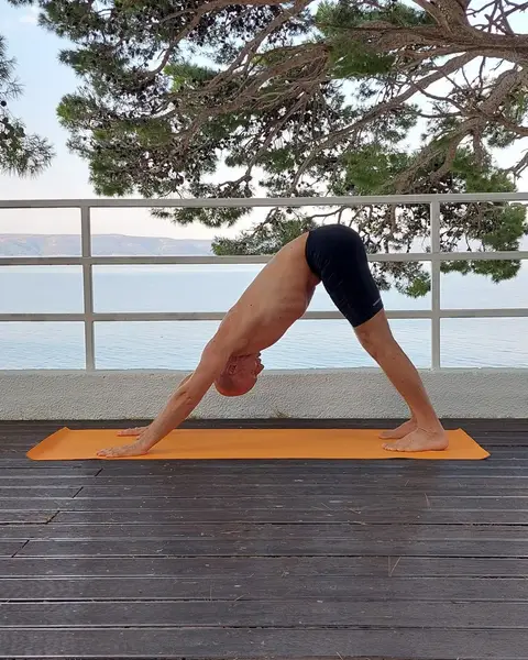 7. Adho Mukha Shvanasana (izdah)
