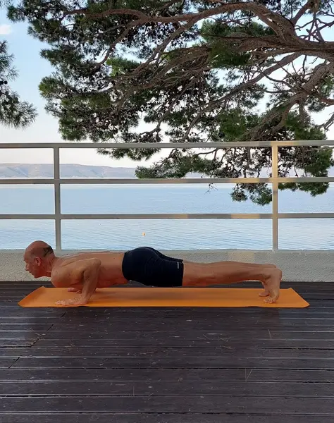 11. Chaturanga Dandasana (izdah)