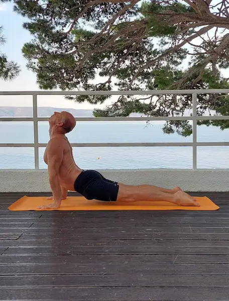 12. Urdhva Mukha Shvanasana 1 (udah)