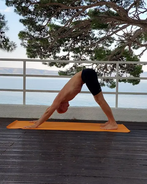 13. Adho Mukha Shvanasana (izdah)