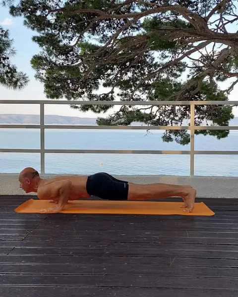 17. Chaturanga Dandasana (izdah)