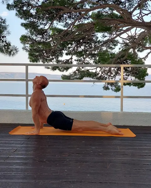 18. Urdhva Mukha Shvanasana 1 (udah)