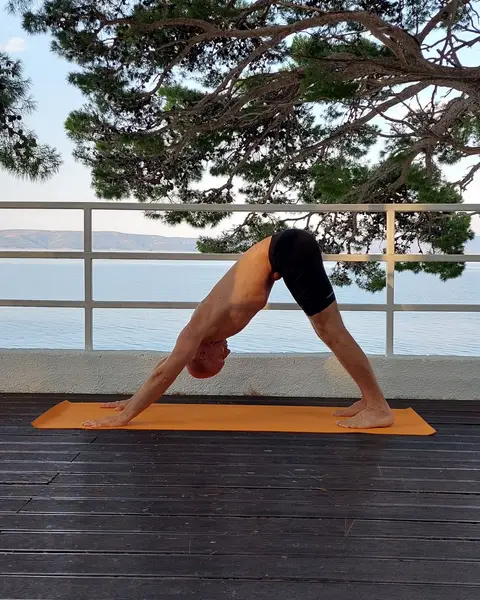 19. Adho Mukha Shvanasana (izdah)
