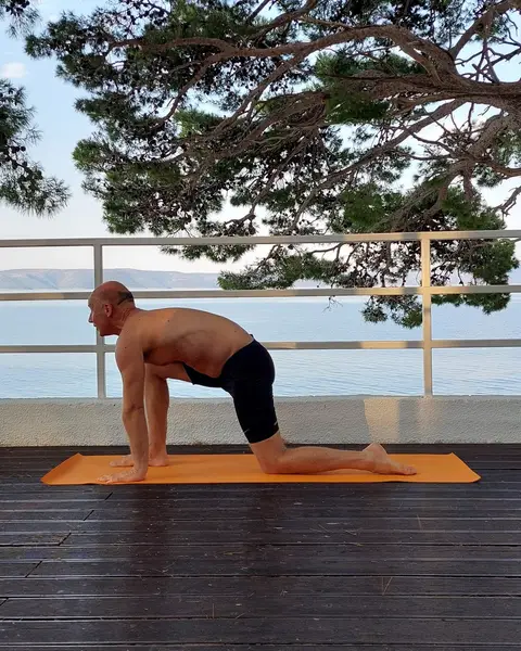 21. Ardha Ashva Sanchalanasana (izdah)