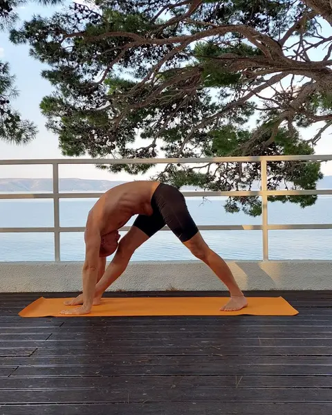 25. Parshvottanasana (izdah)