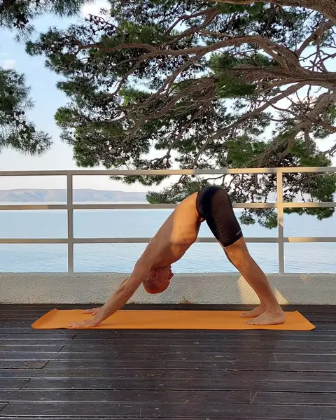 29. Adho Mukha Shvanasana (izdah)
