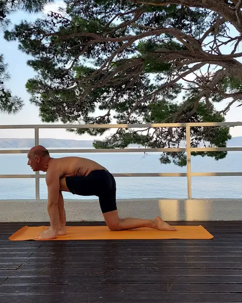 31. Ardha Ashva Sanchalanasana (izdah)