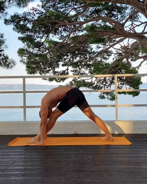 35. Parshvottanasana (izdah)
