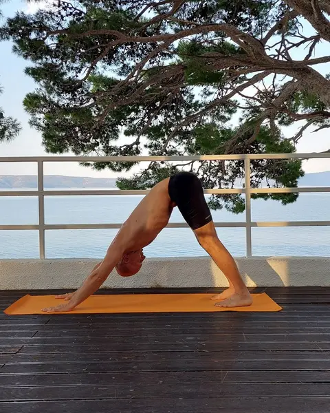 39. Adho Mukha Shvanasana (izdah)
